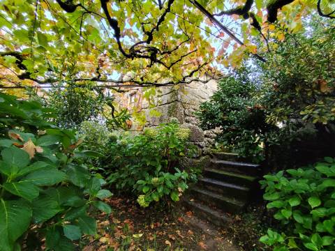 Moradia Típica do Alto Minho