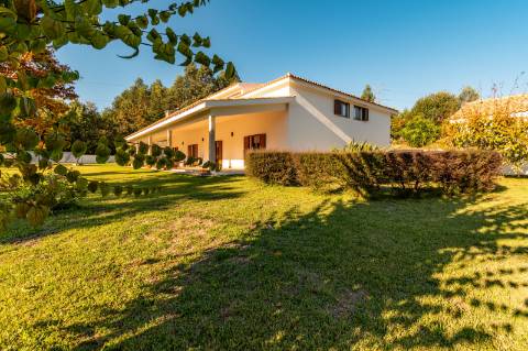 Moradia T6 + moradia T0 de pedra zona Premium