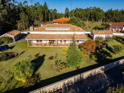 Moradia T6 + moradia T0 de pedra zona Premium