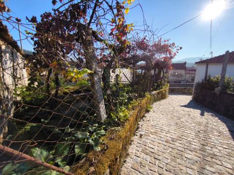 Moradia Para Restauro em Vilela