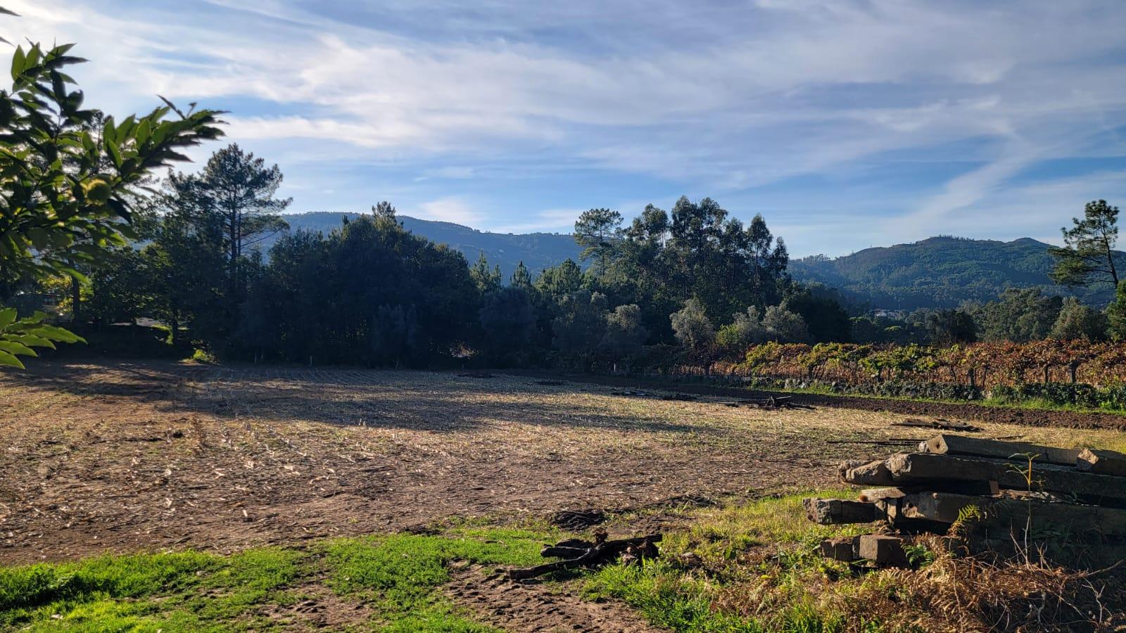 Terreno de construção