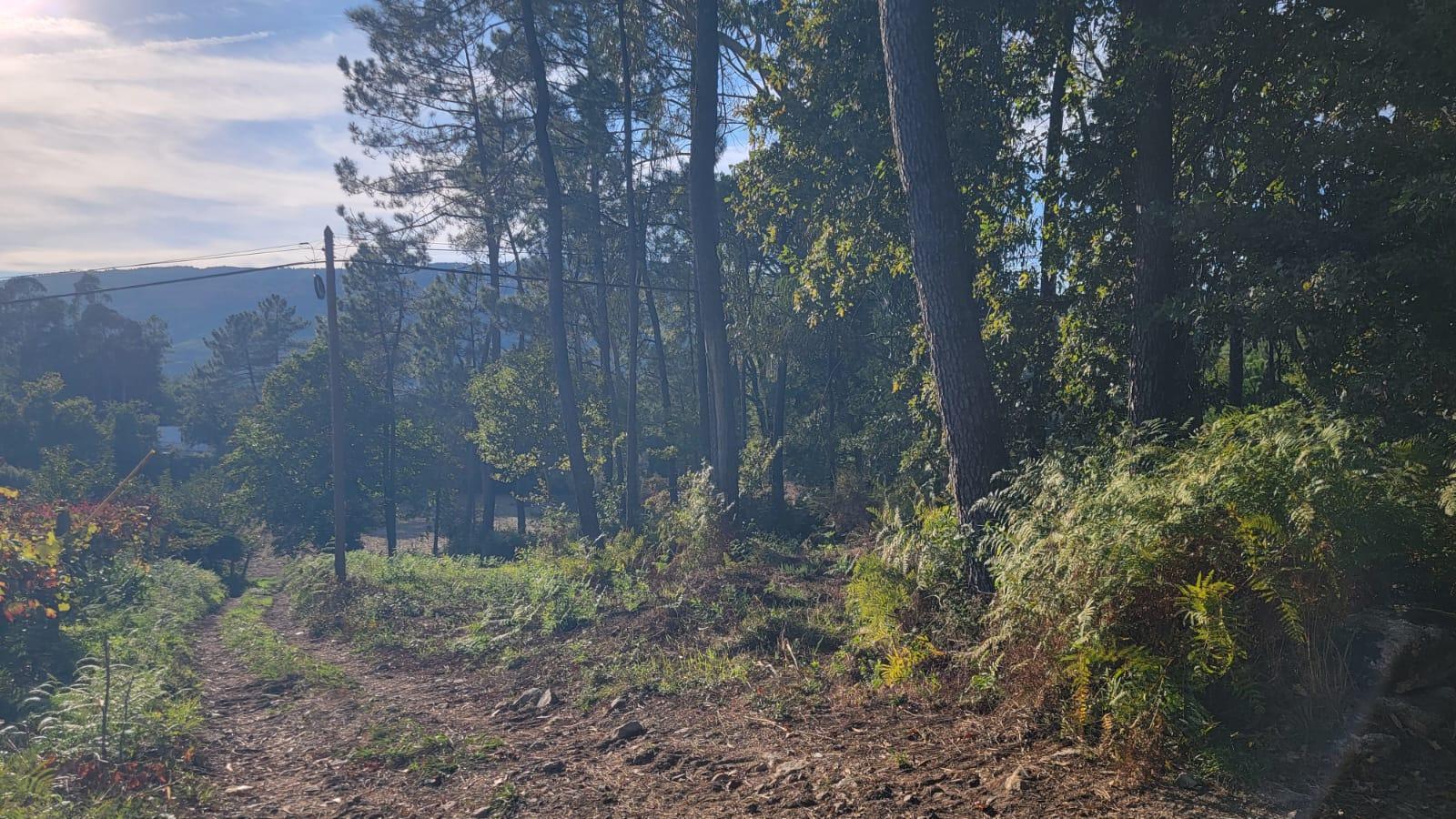 Terreno de construção