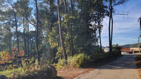 Terreno de construção