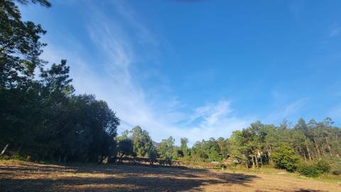 Terreno de construção