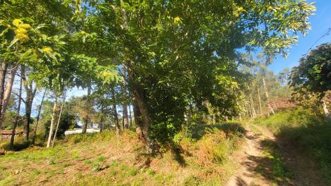 Terreno de construção