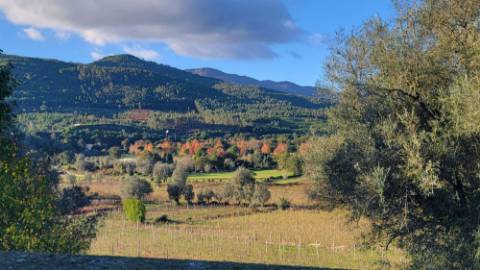 Moradia tradicional em pedra