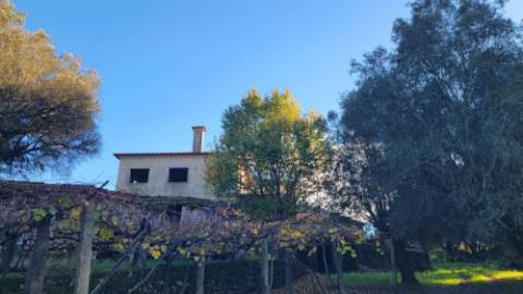 Moradia tradicional em pedra