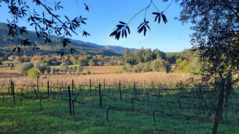 Moradia tradicional em pedra