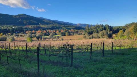 Moradia tradicional em pedra
