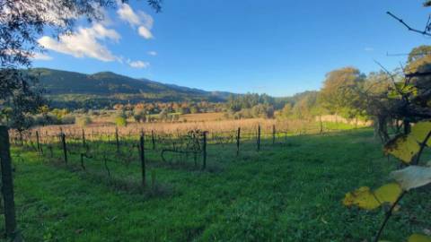 Moradia tradicional em pedra