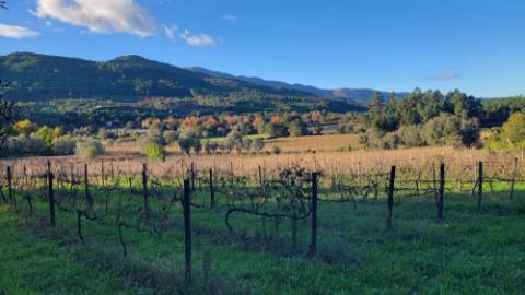 Moradia tradicional em pedra