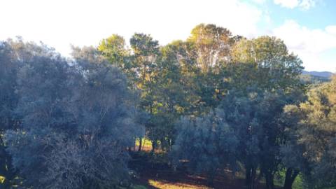 Moradia tradicional em pedra