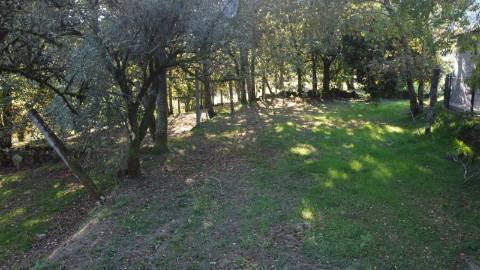 Moradia para Restauro com Terreno - Sabadim, Arcos de Valdevez