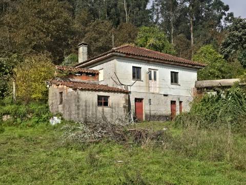 Quintinha T2 Prozelo