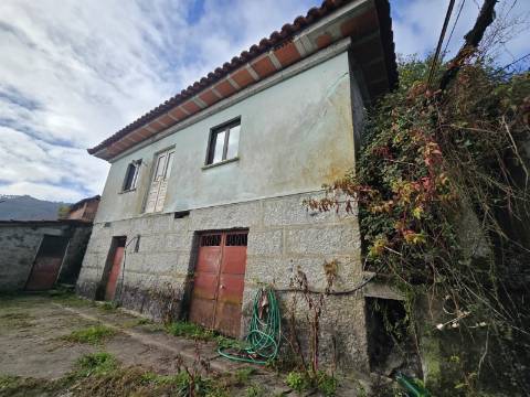 Quintinha T2 Prozelo