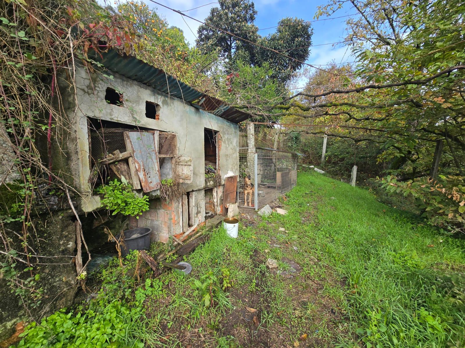 Quintinha T2 Prozelo