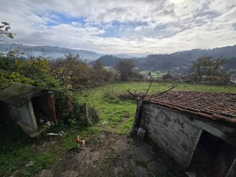 Quintinha T2 Prozelo