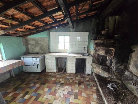 Quintinha T2 Prozelo