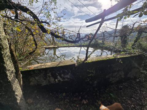 Quintinha T2 Prozelo