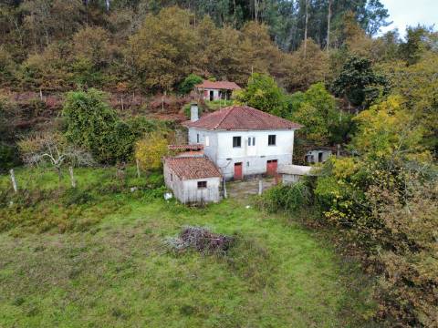 Quintinha T2 Prozelo