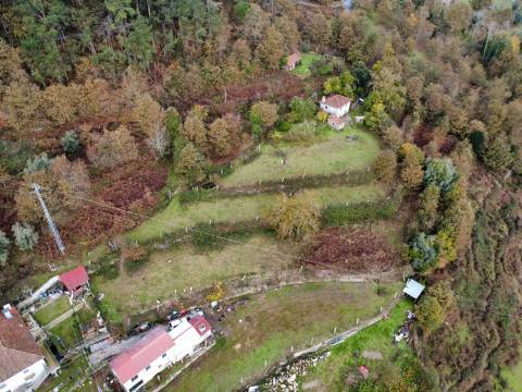 Quintinha T2 Prozelo