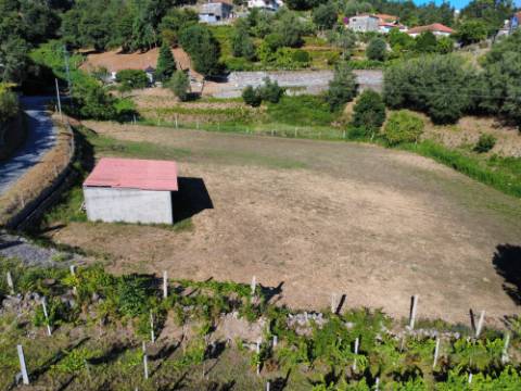 Terreno Souto