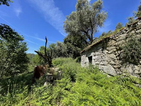 Terreno c/ Ruína em Pedra em Cendufe, Arcos de Valdevez