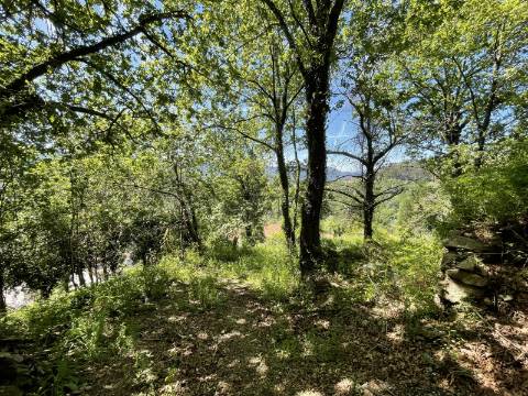 Terreno c/ Ruína em Pedra em Cendufe, Arcos de Valdevez
