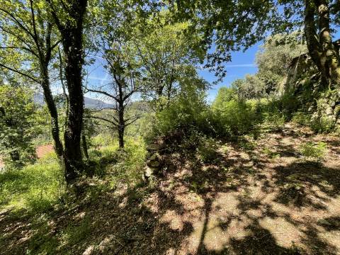 Terreno c/ Ruína em Pedra em Cendufe, Arcos de Valdevez