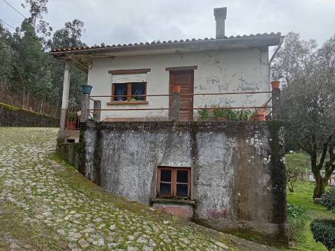 Quinta com 1 ha em Fontoura perto do caminho de Santiago