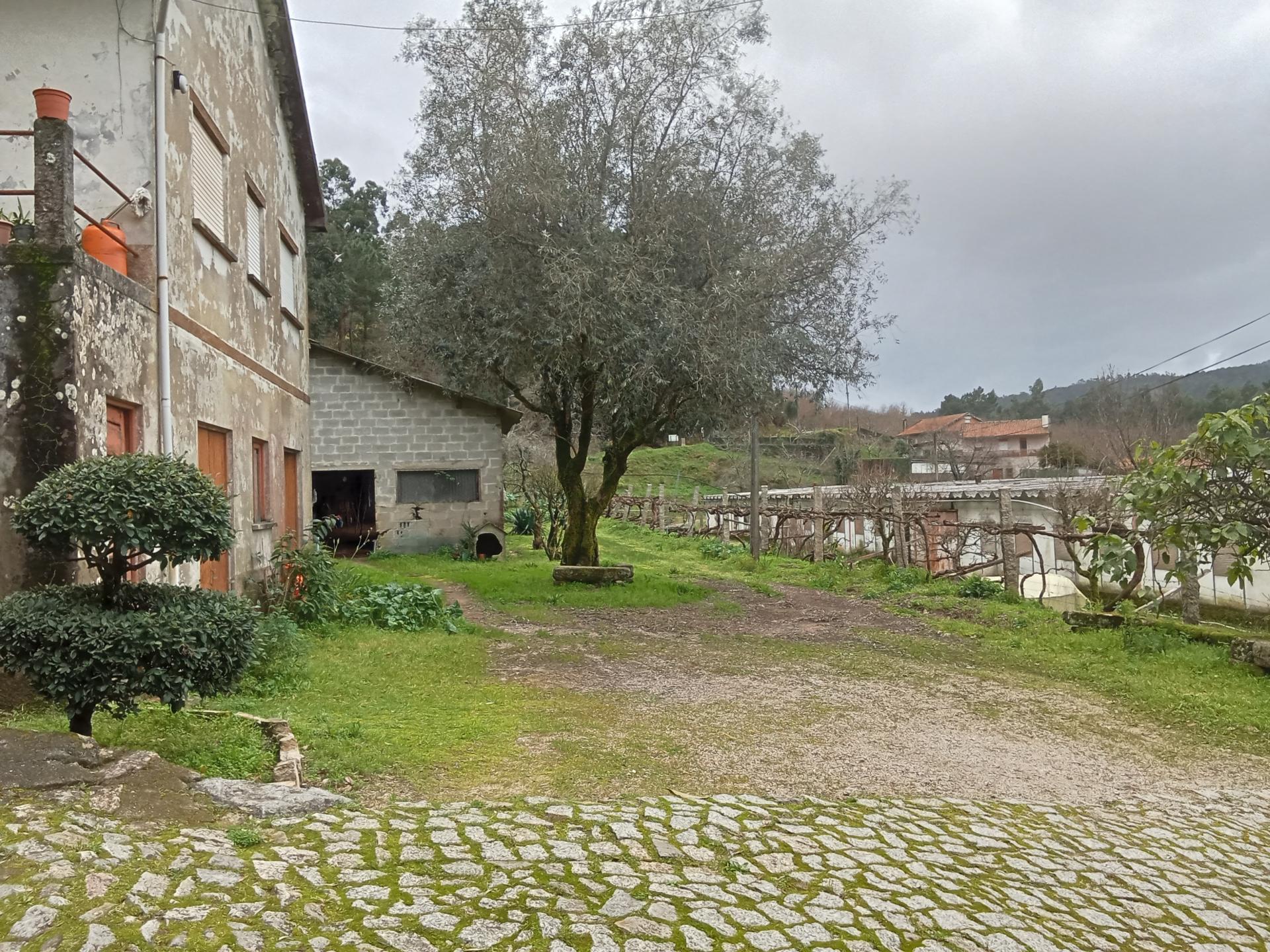 Quinta com 1 ha em Fontoura perto do caminho de Santiago