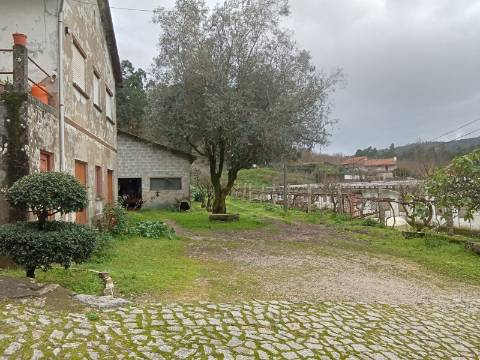 Quinta com 1 ha em Fontoura perto do caminho de Santiago