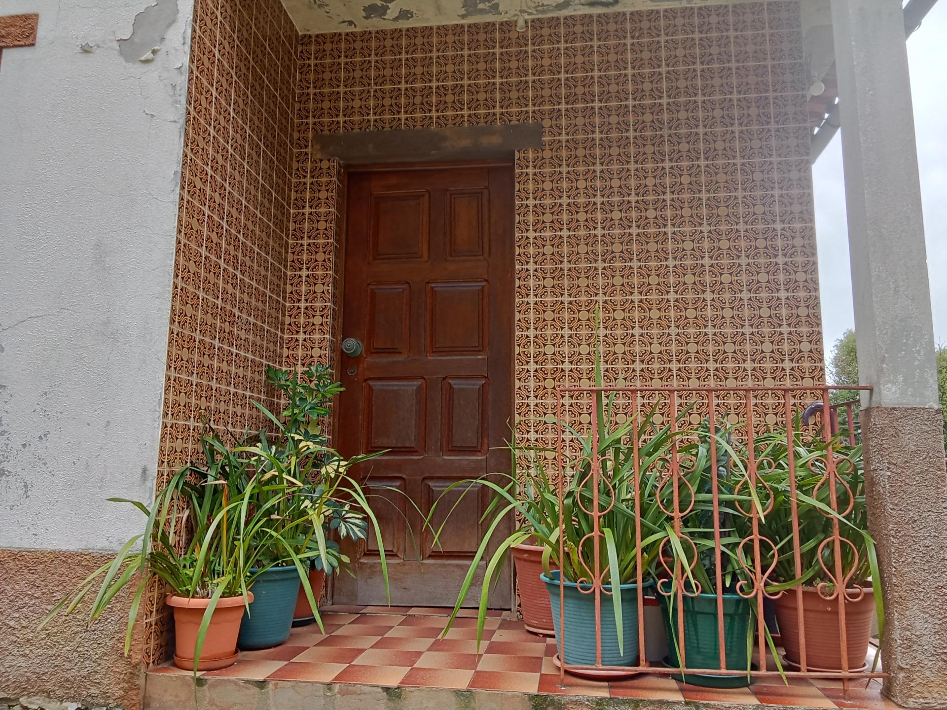 Quinta com 1 ha em Fontoura perto do caminho de Santiago