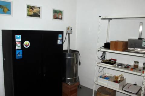 Pavilhão com melaria licenciada