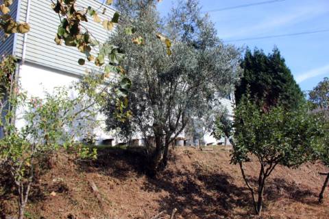 Pavilhão com melaria licenciada