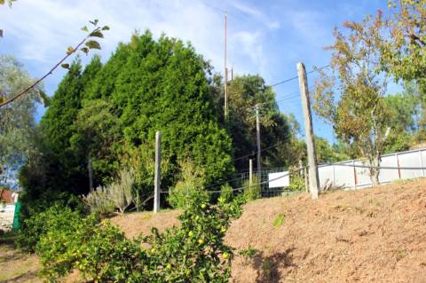 Pavilhão com melaria licenciada