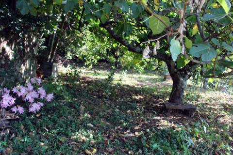 Quintinha com 2 moradias em pedra