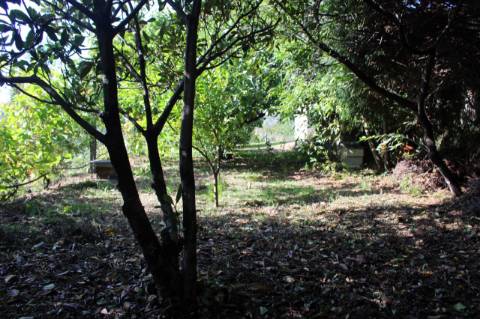 Quintinha com 2 moradias em pedra