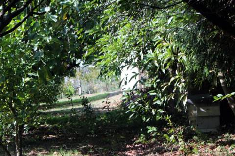 Quintinha com 2 moradias em pedra