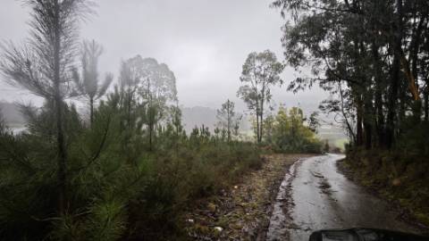 Terreno Industrial - Nó da A3, Anais