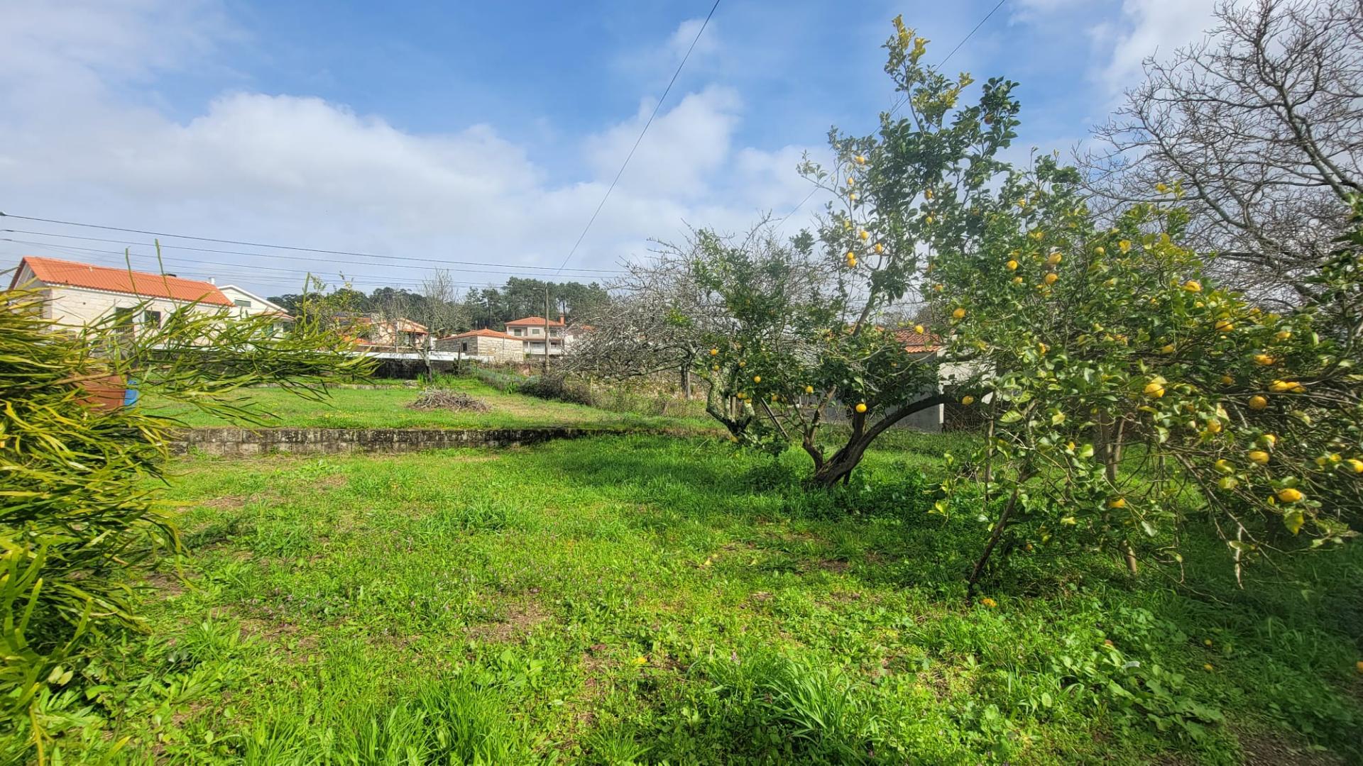 Moradia T3 Vila Nova de Anha