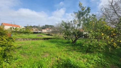 Moradia T3 Vila Nova de Anha