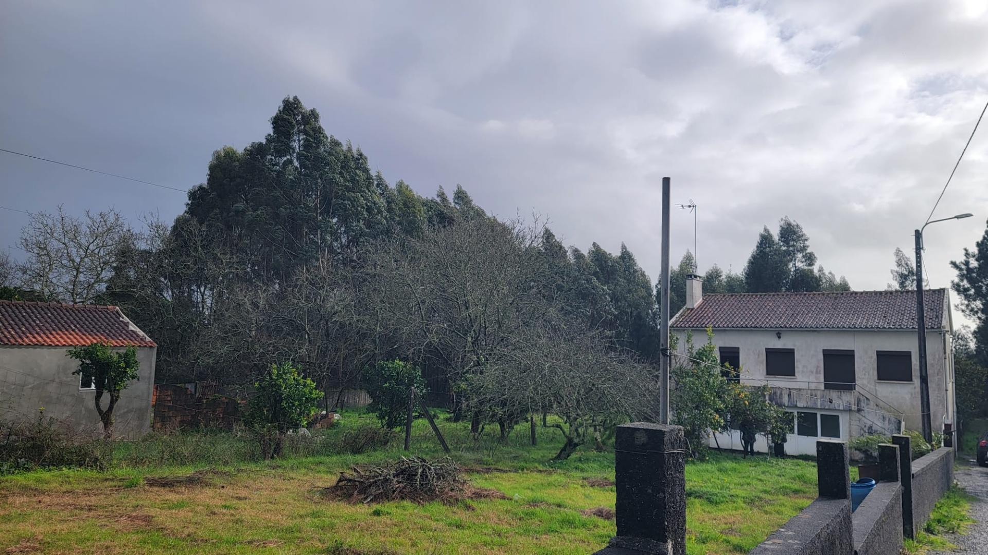 Moradia T3 Vila Nova de Anha