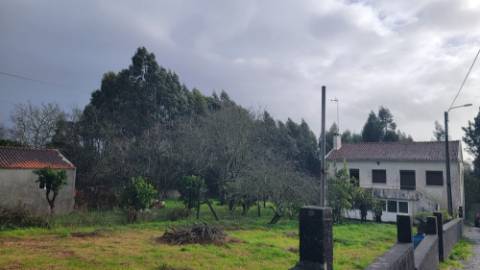 Moradia T3 Vila Nova de Anha