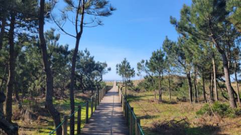 Moradia T3 Vila Nova de Anha