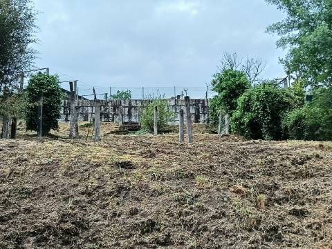 Terreno em Pogido - Gondoriz