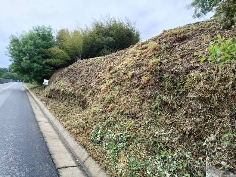 Terreno em Pogido - Gondoriz