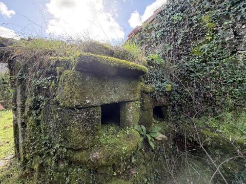Conjunto de 3 moradias - Rio de Moinhos