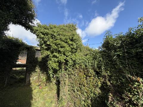 Conjunto de 3 moradias - Rio de Moinhos