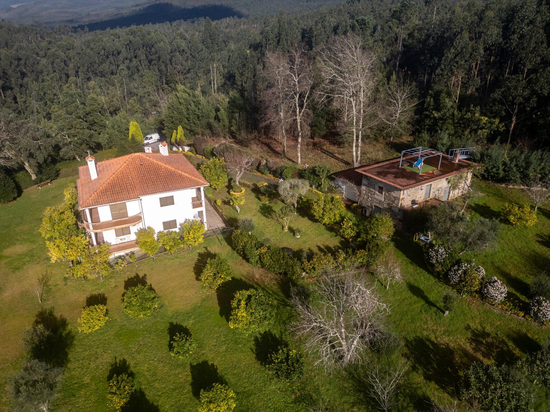 Quintinha c/ Moradia V4+1 e Moradia Antiga